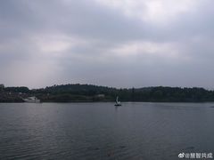 -大塘金香草谷