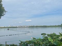 -西湖游船