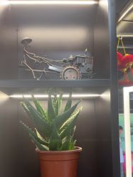 -豪帅男士理容馆