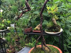 -天芳悦潭度假村温泉