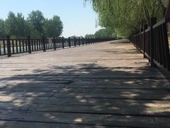 -天津武清北运河郊野公园房车露营地