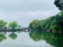 -无锡蠡湖国家湿地公园-蠡园