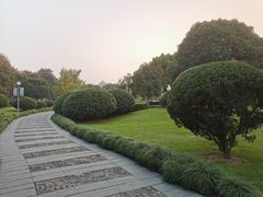 -月湖公园
