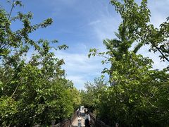 -丝绸小镇荻港古村