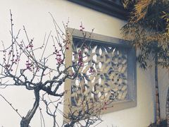 -杭州植物园
