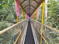 -七仙岭温泉国家森林公园