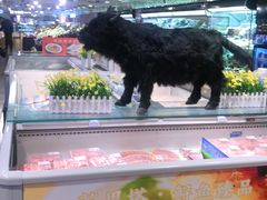 -王府井百货(总府店)