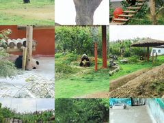 -杭州野生动物世界