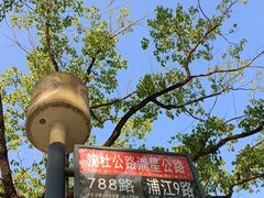-召稼楼古镇