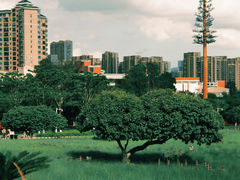 -红花山公园