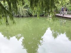 -浙江农林大学(东湖校区)