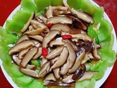 -好孕妈妈月嫂育儿嫂(天津总店)