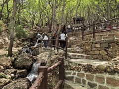-山叶口景区