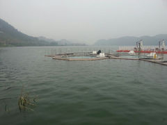 android_upload_pic-杭州千岛湖滨江希尔顿度假酒店