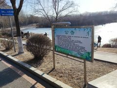 -丁香湖公园