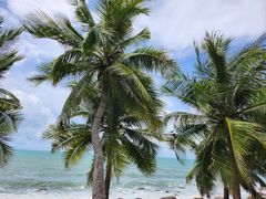 -三亚南山文化旅游区