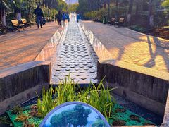 -苏州河梦清园环保主题公园