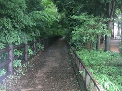 -三鹰之森吉卜力美术馆