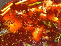 -蜀滋香鲜鱼美蛙火锅(339店)