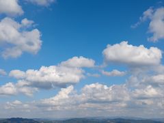 -长虫山生态公园风景林