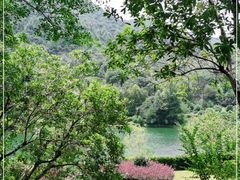 -桃花岭景区