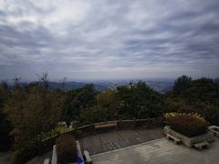 -东莞市大岭山森林公园