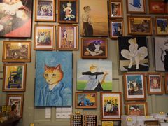 店内环境-猫咪博物馆(顶澳仔猫街店)