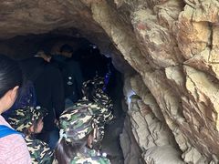 -上海佘山国家森林公园天马山园