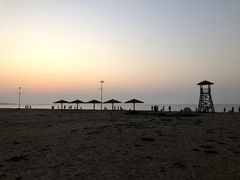 -长兴岛海滨公园