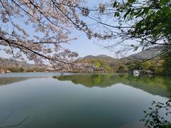 -白马涧龙池景区