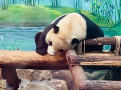 -杭州动物园
