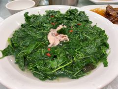 -鹅城