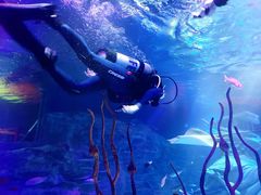 -沈阳海洋探索中心