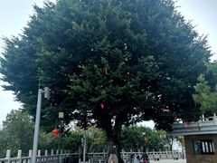 -高榜山景区