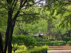 -凤岗南门山森林公园