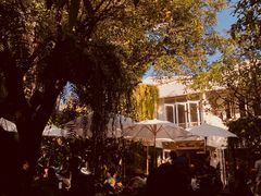 -Fern Forest Cafe