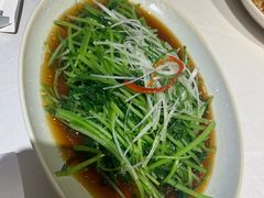 板蓝根菜-SEEUNARI西域娜依新疆菜(环宇广场店)
