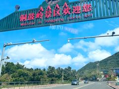 -海南铜鼓岭景区