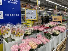 -麦德龙(浦东店)
