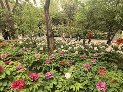 -太阳宫公园