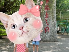 -广东茂名森林公园