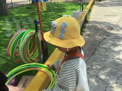 -上海海湾国家森林公园