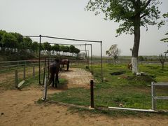 -武汉紫薇都市田园