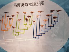 -安徽省地质博物馆