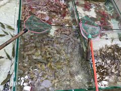 门面-滑记海鲜饭店·老字号(海鲜街店)