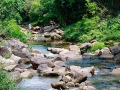 -广州白江湖森林公园