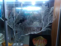 -南京金牛湖风景区