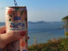 -长江澳风力发电景观区