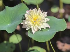 -木塔寺遗址生态公园