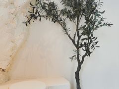 -伊斯坦布尔土耳其清真咖啡餐厅